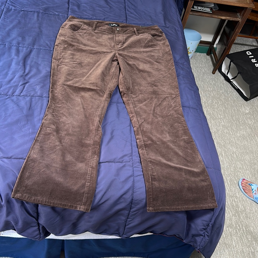 Lane Bryant brown corduroy pants, size 24 tall